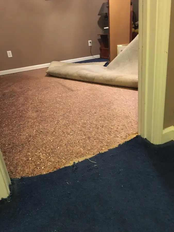 Carpet pad removal revealing water damage during Water Mitigation Services in Isanti