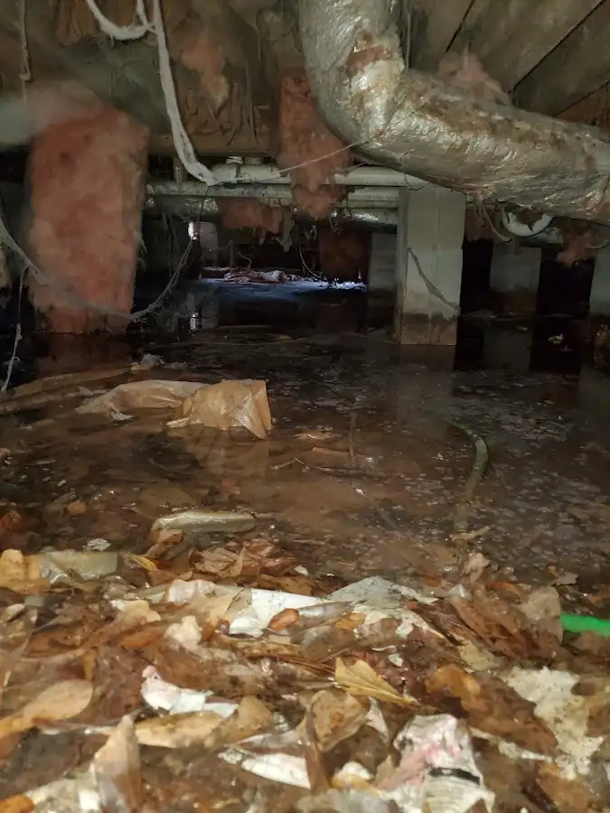 Crawl space flood assessment for Leak Detection & Repair in Isanti