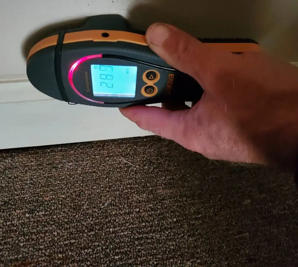 Moisture detection at baseboard during Sewage Cleanup & Sanitation in Isanti